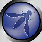 OWASP Triangle Chapter for March 2016